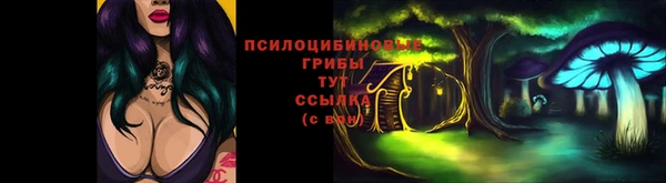 прущий лед Алексин