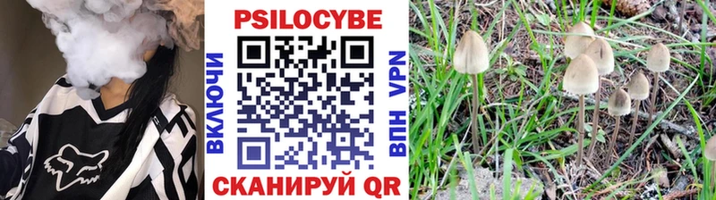 Псилоцибиновые грибы Cubensis  Луга 