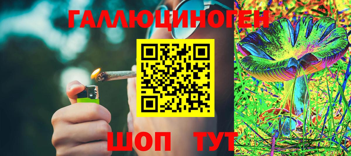 Галлюциногенные грибы GOLDEN TEACHER Луга